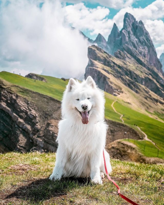 Discover the Magic of the Dolomites: Which Postcard is Your Favourite? 🇮🇹😍