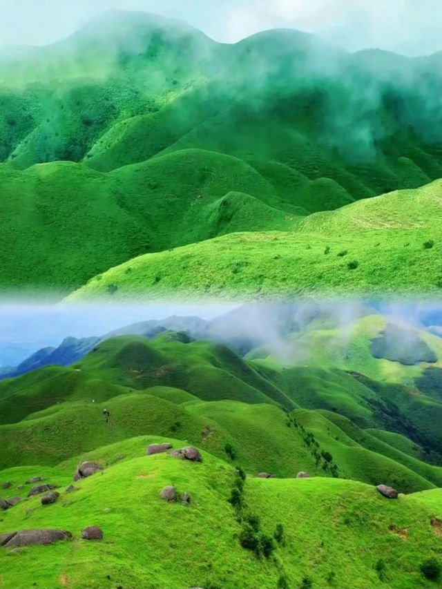 三官山！！三官山！！美哭了的高山草原