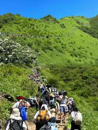 夏天川西必去的地方—九顶山