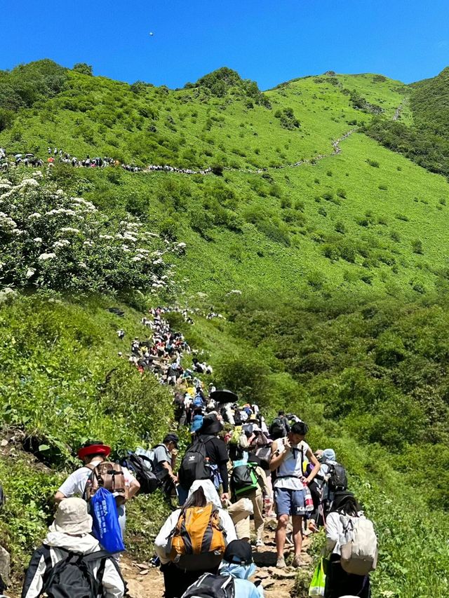 夏天川西必去的地方—九顶山