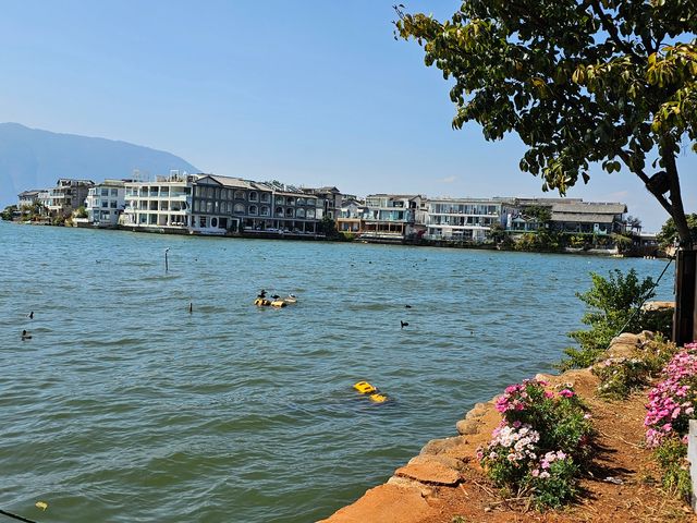 雲南之旅第三日