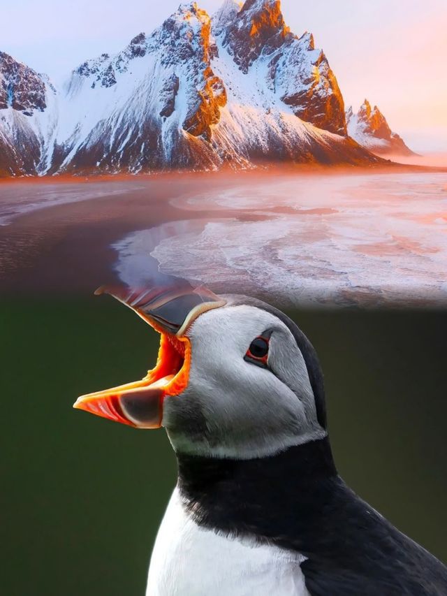 火山撞地球帶給你們沉浸式體驗