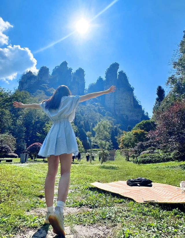 走進張家界國家森林公園，醉了心，養了眼！