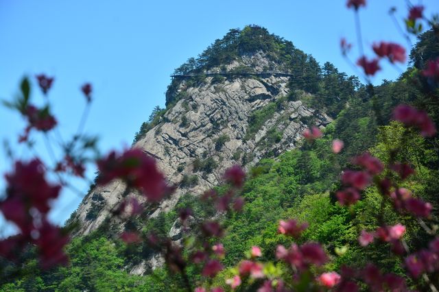 麻城龜峰山