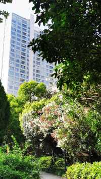淮海公園：由外國人公墓改建而來的公園