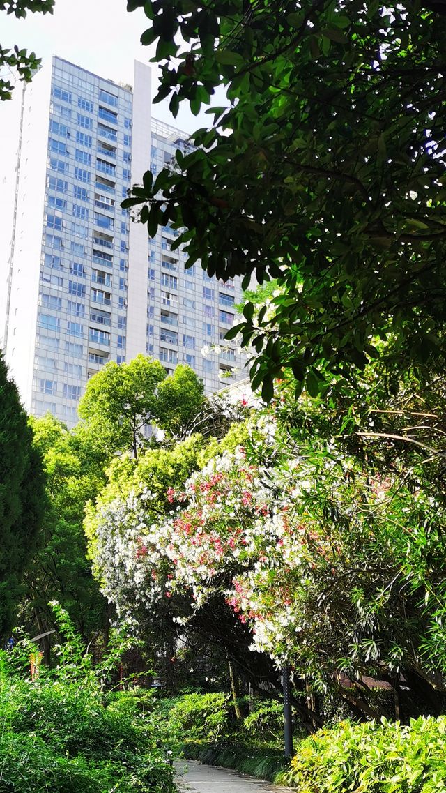 淮海公園：由外國人公墓改建而來的公園