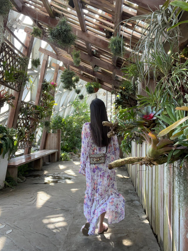 一定要去的植物園
