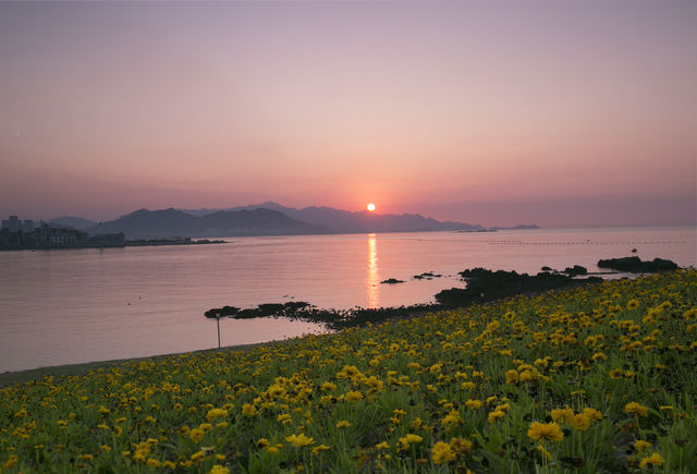 國慶假期來青島，這裡集齊了最美日出觀看地