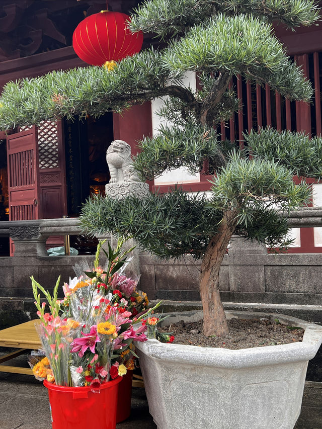 擁有1700年歷史的古剎–廣州光孝寺