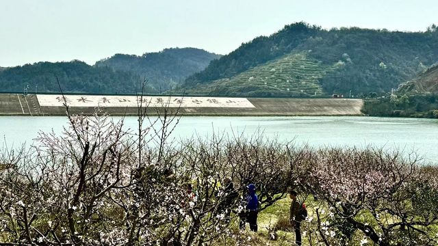 誤入大冶沼山，結果～