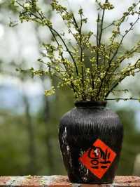 雲瀰漫茶山，安徽小眾景點休寧金龍山雲上茶園裡度假酒店