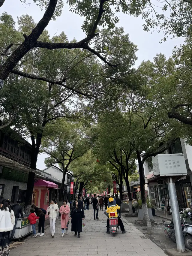 Spring Outing Memoir | A March Stroll on Pishi Street in Yangzhou