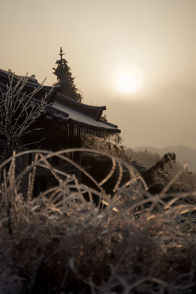 趙麗穎同款禪寺！有種不在人間的美