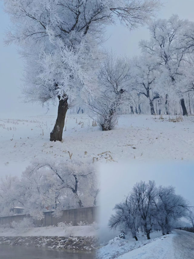 吉林雾凇島｜穿越冬季的童話世界