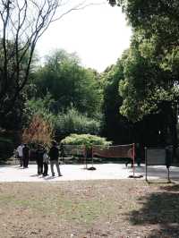 免費開放！上海賞花寶藏好去處