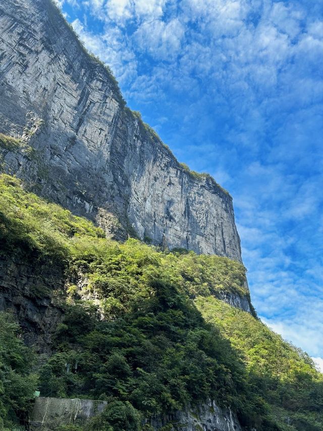 探秘張家界梅景，邂逅冬日仙境