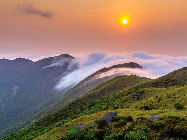 大東山：置身芒草花海，靜待落日晚霞