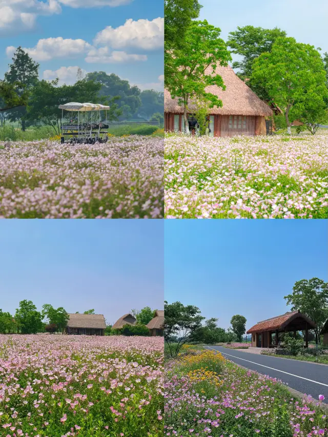 3〜5月の杭州の花見スポット大全を急いでコレクションしましょう