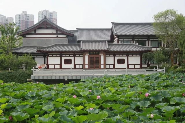洛陽上陽宮文化園|四季風光各不同