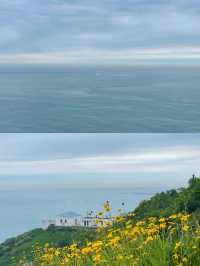 不聽勸去了花鳥島去花鳥島一定要知道