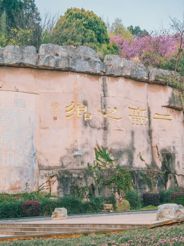 自駕雲南｜曲靖寥廓公園，粉色系賞花夢想之地