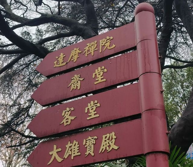 湖北荊門太子山國家森林公園‖荊門必打卡景點之一