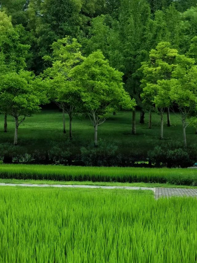 北京免費的神仙公園！現實版綠野仙蹤！