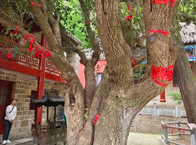 安徽宿州皇藏峪國家森林公園‖宿州必打卡景點之一