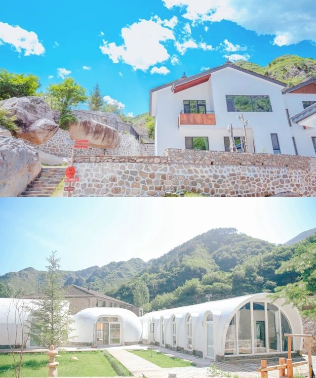 森林裡的泡泡屋