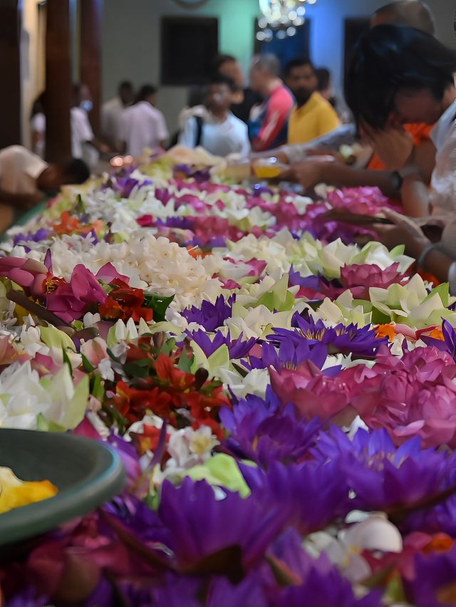 千年古都康堤 Kandy