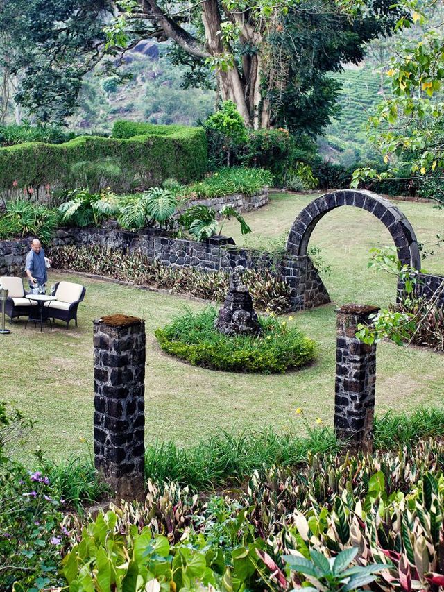 🌱🍵 Serenity in Sri Lanka: Ceylon Tea Trails Escape 🍵🌱