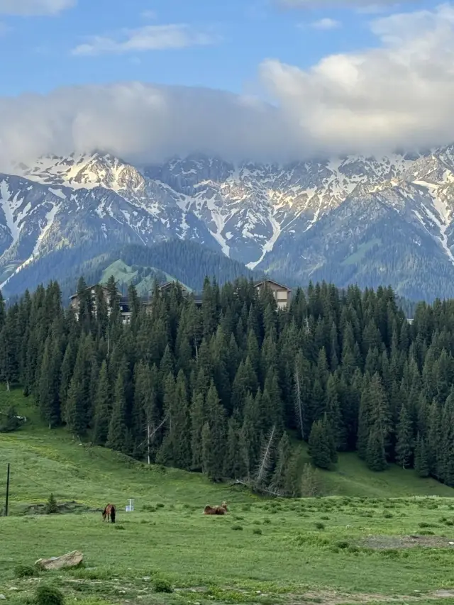 新疆旅遊攻略！！！