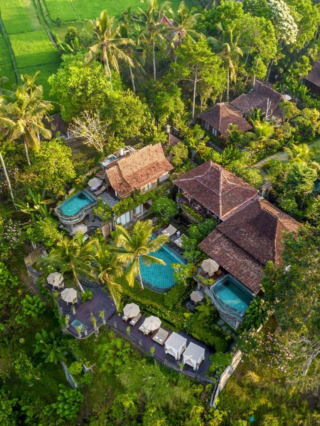 Bali's Hidden Gem 💎: Jungle Retreat 🌴 in Ubud!