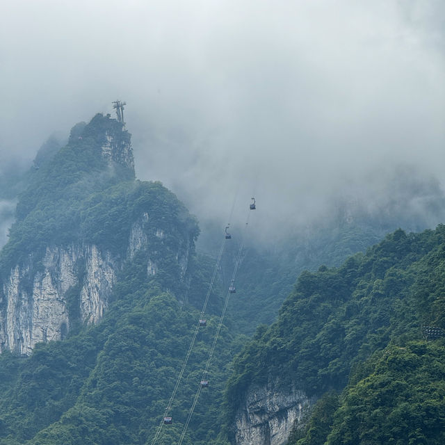 Ascending to Heaven: A Thrilling Adventure on Tianmen Mountain