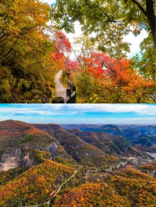 Encounter the splendid autumn scenery