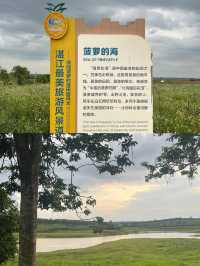 歡迎來我的家鄉玩|徐聞菠蘿的海