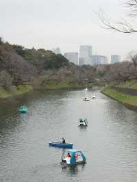 東京景點｜千鳥淵公園