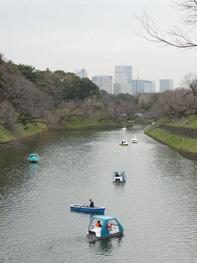 東京景點｜千鳥淵公園