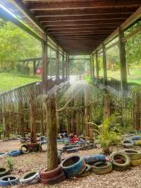 逃離喧囂，擁抱自然：南寧高峰森林公園的完美一日遊