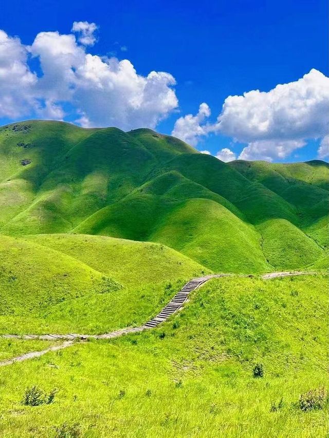 福建有一個地方，只有我們知道