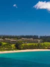🌺 Maui Magic: Top Stays at The Ritz-Carlton Kapalua 🏨✨