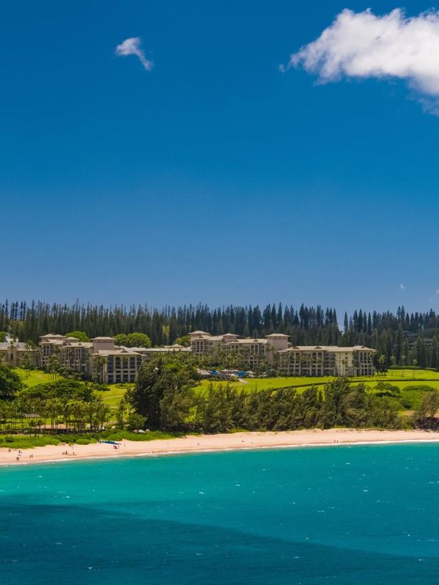 🌺 Maui Magic: Top Stays at The Ritz-Carlton Kapalua 🏨✨