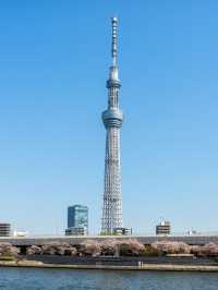 🌟 Tokyo Treasures: Ueno's Chic Nohga Hotel 🌟