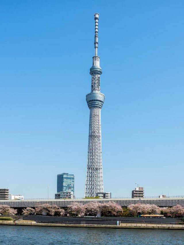 🌟 Tokyo Treasures: Ueno's Chic Nohga Hotel 🌟