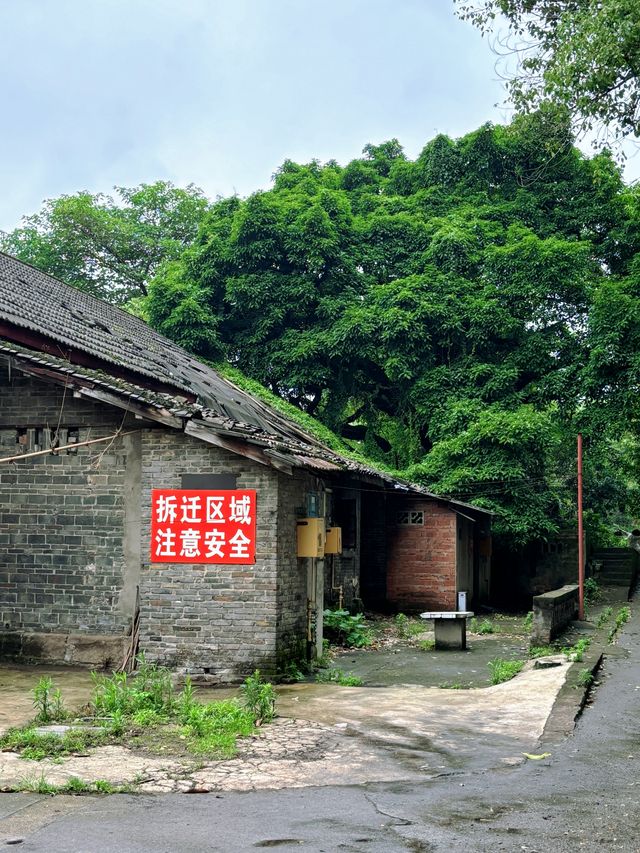 重慶 | 陳電村