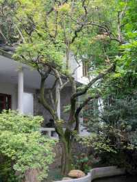 🌿 Guangzhou Getaway: Mountain Villa Magic ✨