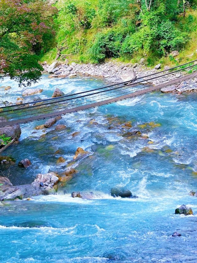 夏天去山里避暑，绝美森林河谷