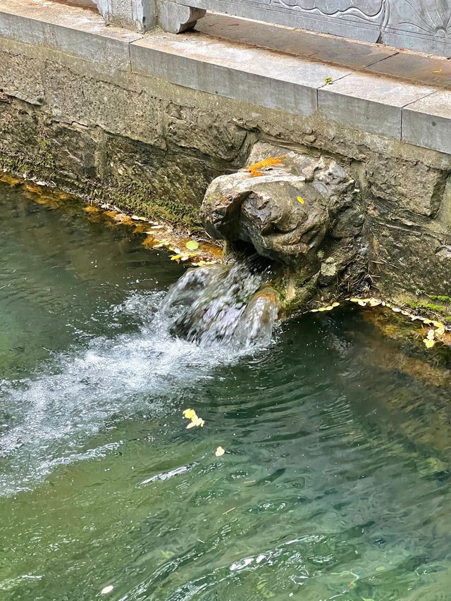 山東還有鮮為人知的泉水別只去趵突泉了