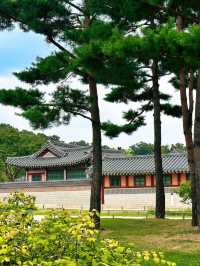 A glimpse of Korea’s majestic heritage • Walking in the footsteps of Kings and Queens🤴👸