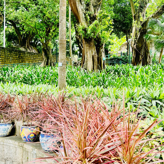 種草澳門白鴿巢公園